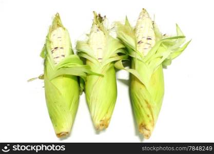 Corn for cooking