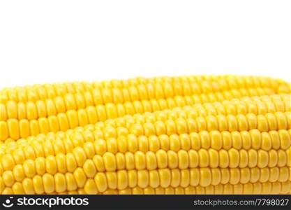 Corn is isolated on a white