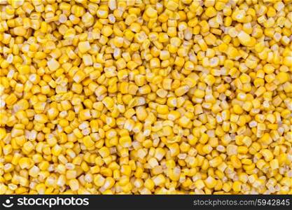 Corn macro as background structure. Corn macro as background structure.