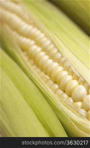 Corn on cob, close-up