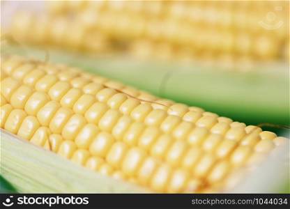 Corn on cobs and sweet corn ears on background close up