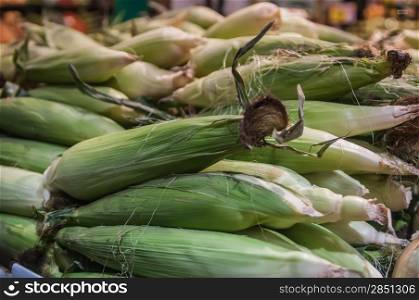 corn on display at farmers market