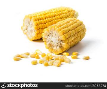 Corn on the cob kernels isolated on white background