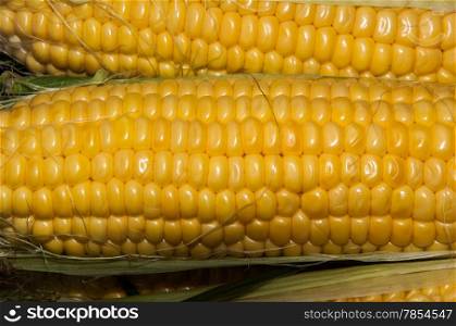 Corn or maize is on sale at the Bazaar