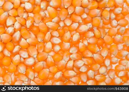 corn seeds background , top view