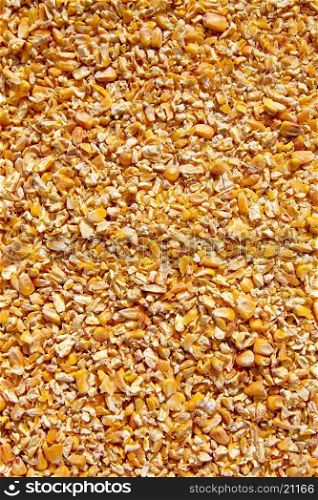 Corn seeds low milled seeds pattern texture background