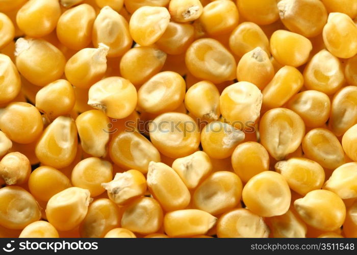 corn seeds nature food background