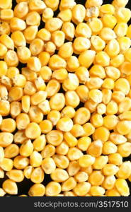 corn seeds nature food background