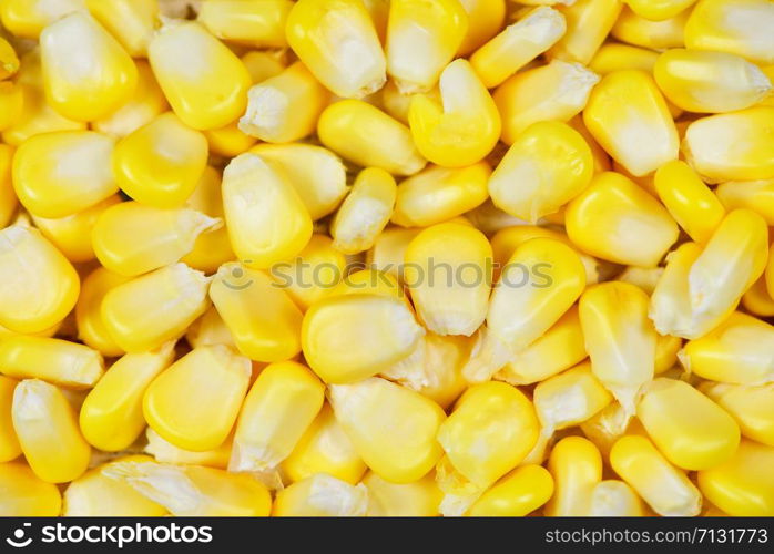 Corn texture for cooked food / Yellow corns background