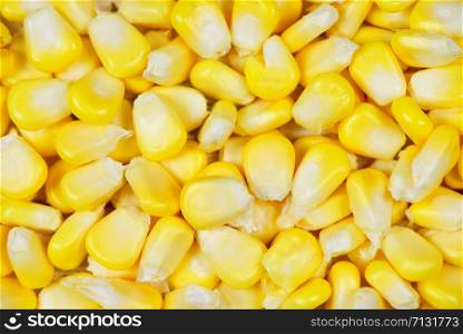 Corn texture for cooked food / Yellow corns background