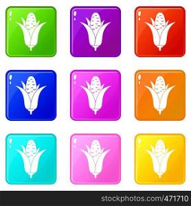 Corncob icons of 9 color set isolated vector illustration. Corncob icons 9 set