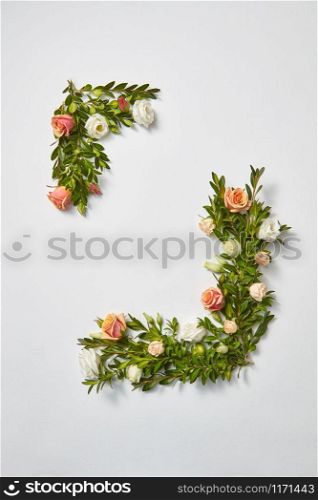 Corner border frame from evergreen twigs of boxwood and coral natural roses flowers on a light grey background with copy space. Flat lay. Valentine&rsquo;s Day greeting card.. Greeting card from evergreen branches and coral flowers.