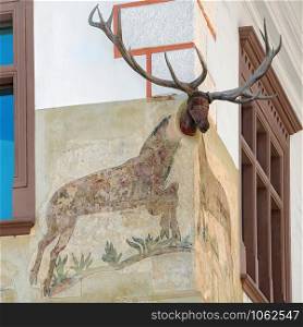 Corner of a House with a Deer Head in Sighisoara, Romania. Corner of a House with a Deer Head