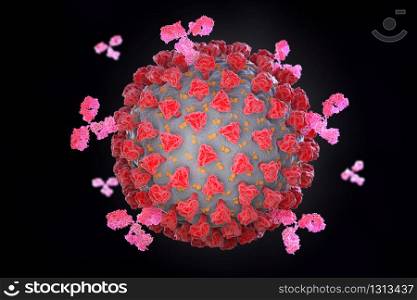 Coronavirus and antibodies. 3D illustration. Coronavirus and antibodies