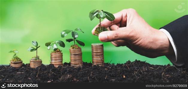 Corporate business invests in environmental subsidies with hand grow seedlings on coin stack for natural awareness. Eco subsidized growth investment for environment protection and clean energy. Alter. Corporate business invests in environmental subsidies with coin stack. Alter