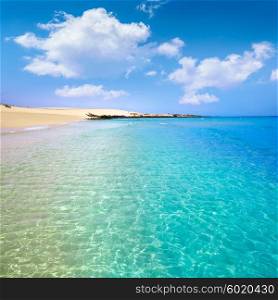 Corralejo Beach Fuerteventura at Canary Islands of Spain