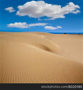 Corralejo dunes Fuerteventura desert at Canary Islands of Spain