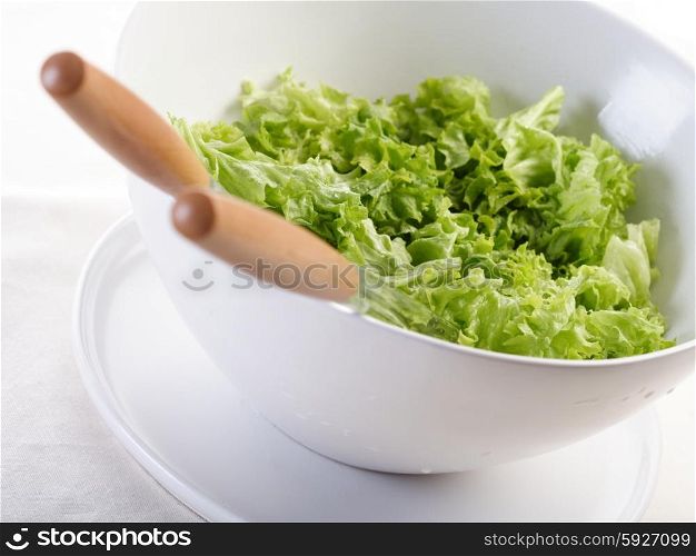 Cose - up of lettuce in bowl