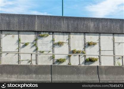 Coseup shot of the side of a freeway with plants growing between sections.