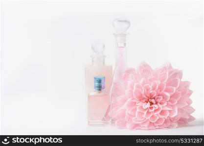 Cosmetic and perfume bottles with pink pale flower on white background, front view. Beauty and skin care concept