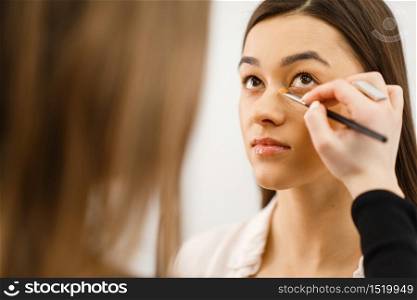 Cosmetician applies makeup on a woman&rsquo;s face in cosmetics store. Luxury beauty shop salon, female customer and beautician in fashion market. Cosmetician applies makeup on a woman&rsquo;s face