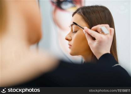 Cosmetician puts makeup on a woman&rsquo;s face in cosmetics store. Luxury beauty shop salon, female customer and beautician in fashion market. Cosmetician puts makeup on a woman&rsquo;s face