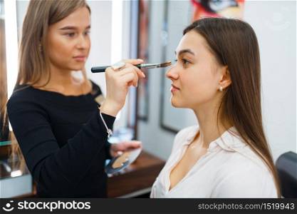 Cosmetologist applies makeup on a woman&rsquo;s face in cosmetics store. Luxury beauty shop salon, female customer and beautician in fashion market. Cosmetologist applies makeup on a woman&rsquo;s face