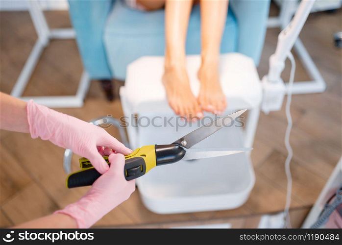 Cosmetologist salon, pedicure, clipping procedure, humor. Nail care treatment for female client in beauty shop, doctor in gloves holds big garden pruner