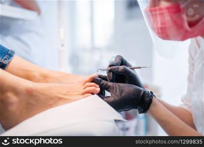 Cosmetologist salon, pedicure, polish procedure. Nail care treatment for female client in beauty shop, doctor in gloves works with customer toenails. Cosmetologist salon, pedicure, polish procedure