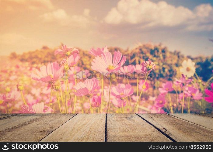 cosmos flower sunlight and wood table with vintage tone.