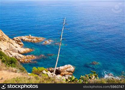 Costa Brava beach Lloret de Mar in Catalonia Cala Banys at Spain