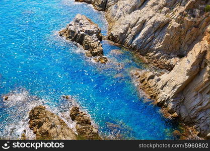 Costa Brava beach Lloret de Mar in Catalonia Cala Banys at Spain