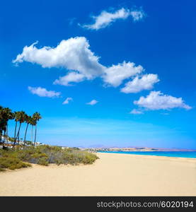 Costa Calma beach of Jandia Fuerteventura at Canary Islands of Spain