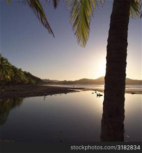 Costa Rican scenery at sunset