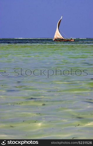 costline boat pirague in the blue lagoon relax of zanzibar africa