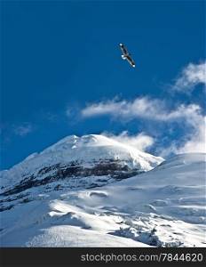 Cotopaxi - The highest active volcano at 5.897 m. Cotopaxi is the volcanic centrepiece of the National Park with the same name, situated in the Andean Highlands of Ecuador.