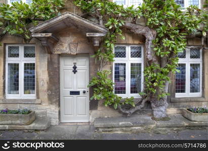 Cotswold house facade with mature climber and Georgian doorway.