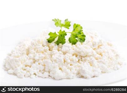 cottage cheese with parsley on a plate