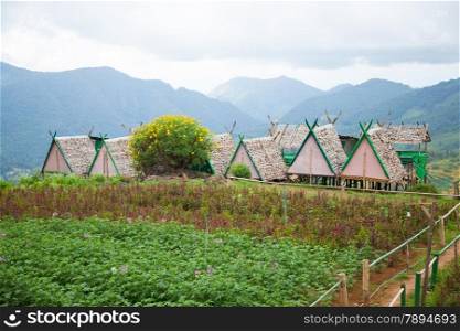 cottage is planted near agricultural areas. Agricultural and residential areas on the mountain.