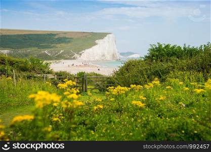 Cottages & 7 Seven Sisters, Brighton, England
