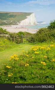 Cottages & 7 Seven Sisters, Brighton, England