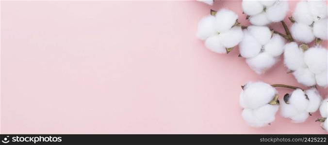 Cotton flower on pink pastel background, Minimalism, Spring flower blosssom concept, Flat lay, top view, copy space