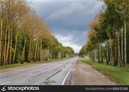 Country asphalt road in autumn, near Pushkinskiye Gory, Pskov region, Russia