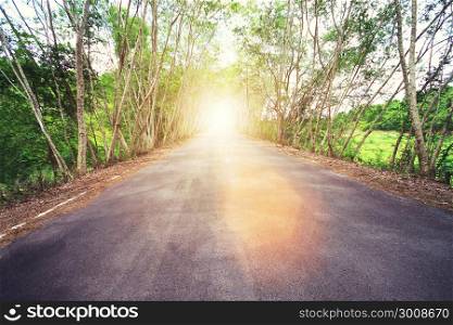 Country asphalt road with tree and sunset flare. Vintage filtered.