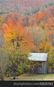 Country barn during fall foliage