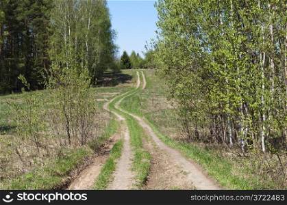 Country dirt road between trees on spring sunny day