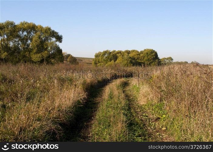 Country dirt road in autumn field on sunny morning