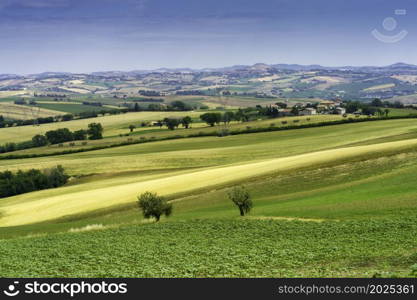 Country landscape along the road from Cingoli to Appignano, Ancona province, Marche, Italy, at springtime