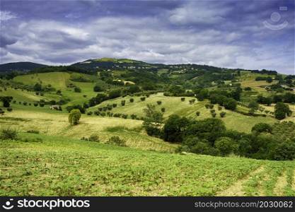 Country landscape along the road from Cingoli to Appignano, Ancona province, Marche, Italy, at springtime