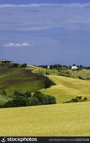 Country landscape along the road from Ostra Vetere to Cingoli, Ancona province, Marche, Italy, at springtime